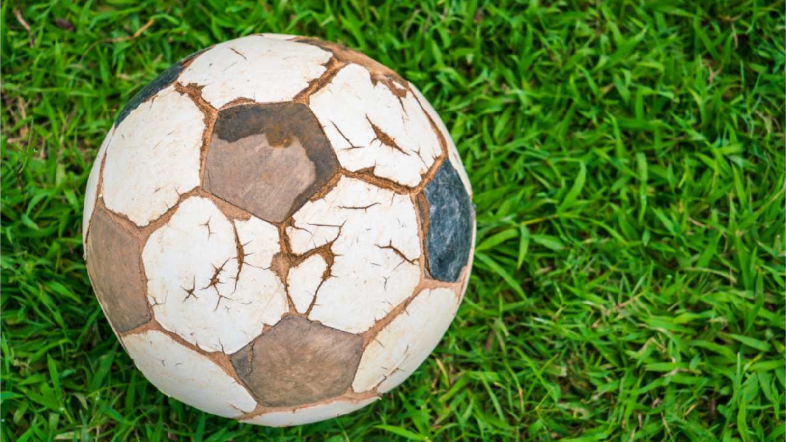 Diseño sin título (2)